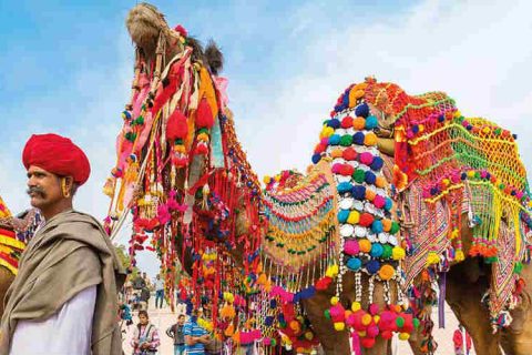 guida fiera del cammello di Pushkar