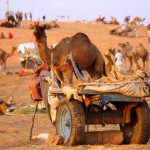 Pacchetti turistici per il Rajasthan più economici